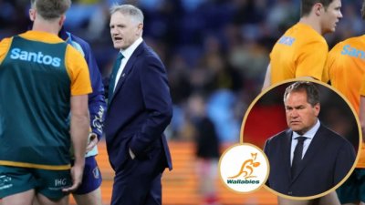 Les wallabies perdent leur « identite unique »