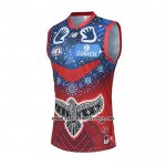 Maillot Melbourne Demons AFL 2022 Maillot Melbourne Demons AFL 2022
