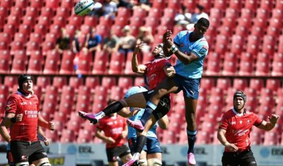 Les Bulls battent les lions
